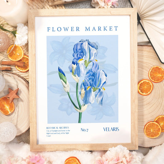 Velaris Flower Market botanical art print, featuring vibrant blue irises with elegant text and fantasy-inspired details, perfect for book lovers and romantasy fans.