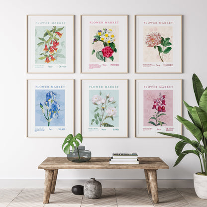 Set of 6 Maasverse Flower Market Prints Kayana Illustrations