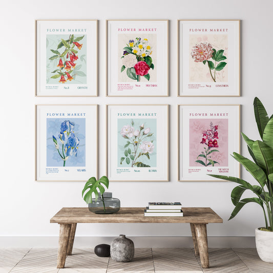 Set of 6 Maasverse Flower Market Prints Kayana Illustrations